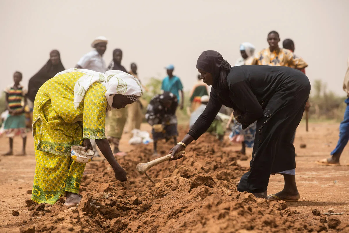 Action Against Desertification project