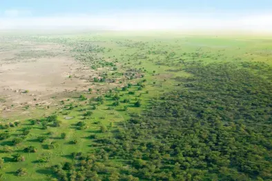 UNCCD GGW Accelerator project