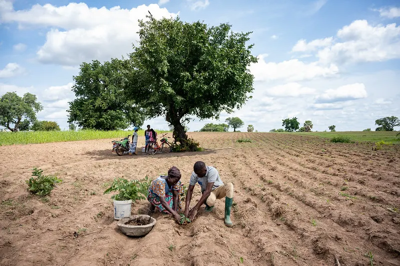 Knowledge for Action – Great Green Wall (CAGMV)