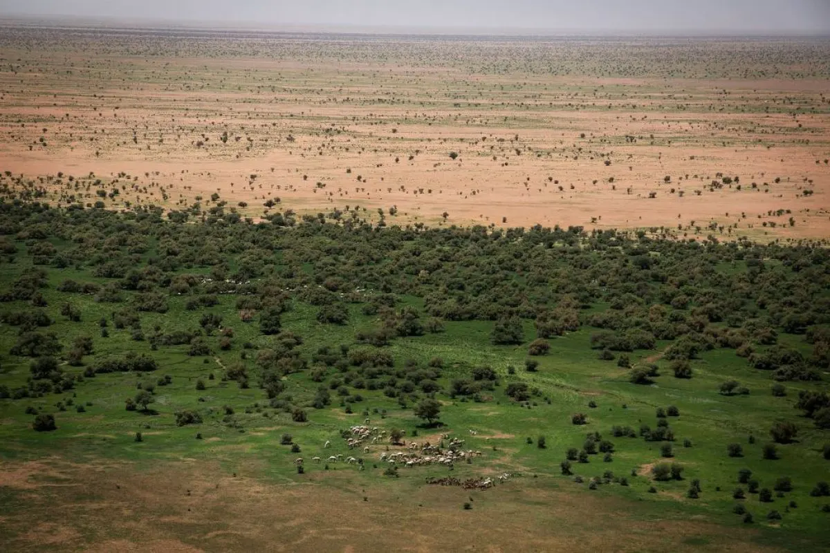 GGW Climate Change Adaptation project