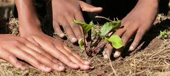 IGREENFIN green financing initiative